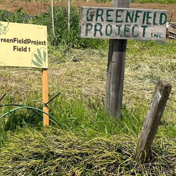 グリーンフィールドプロジェクトの専用畑で栽培がスタート！